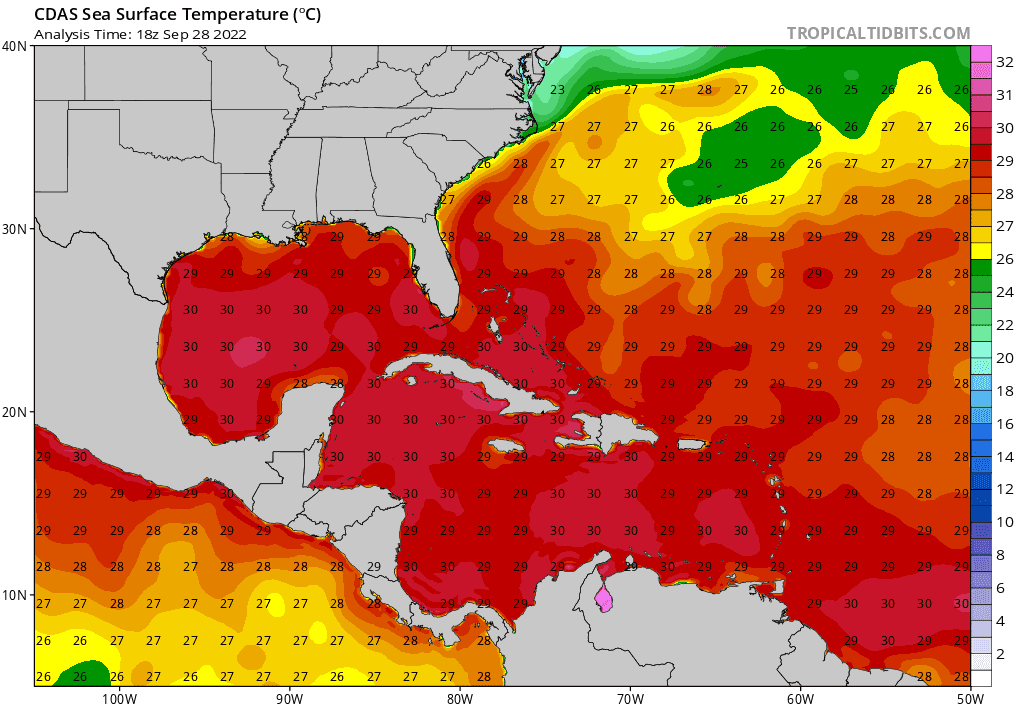 Sea surface temperature map