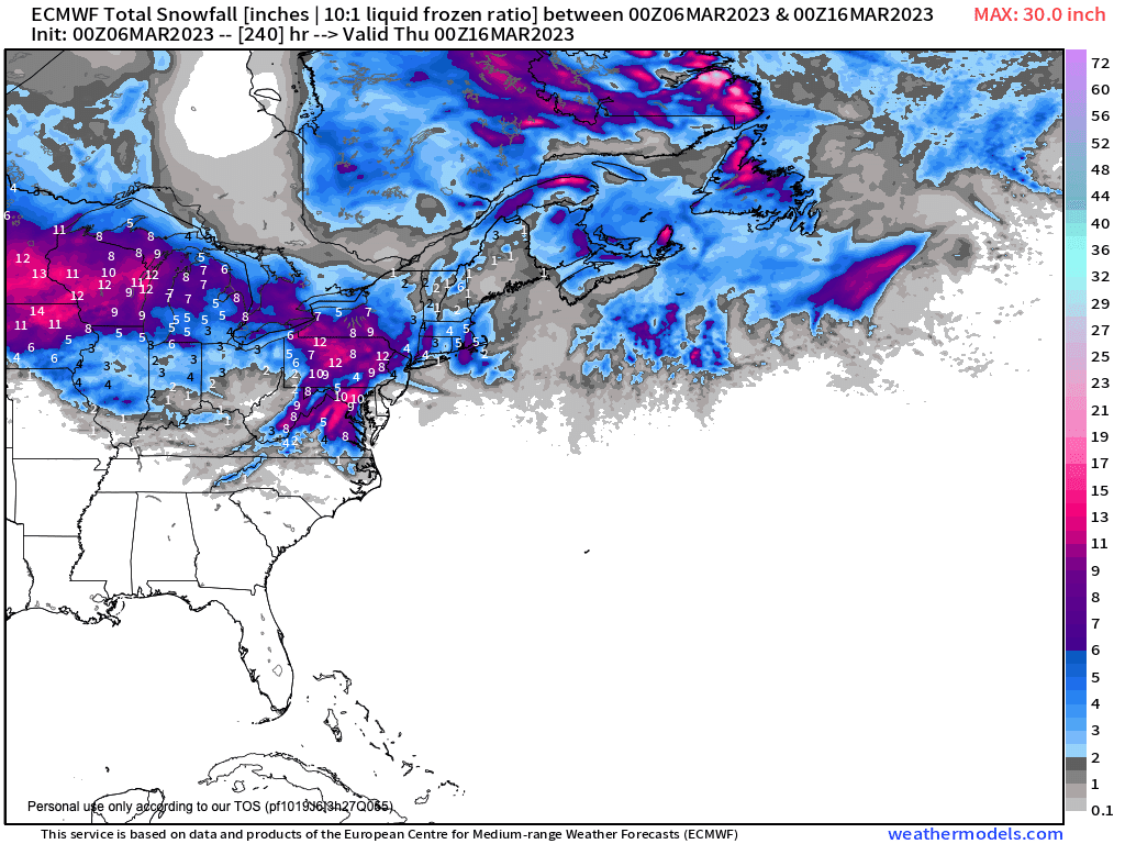 Modeled snow forecast over the coming days